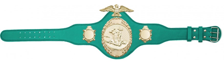 MMA CHAMPIONSHIP TITLE BELT-PLT288/G/MMAG-4 COLOURS